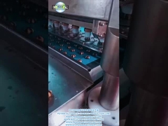 PD1000 خط توليد کوکي هاي دو رنگي کاملا اتوماتيك